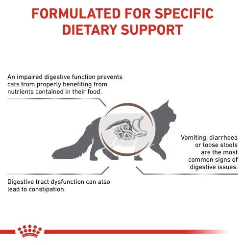 Royal Canin Veterinary Diets Gastrointestinal Fibre Response Dry Adult Cat Food 4 Royal Canin Veterinary Diets Gastrointestinal Fibre Response Dry Adult Cat Food - Image 2