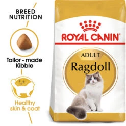 Royal Canin Ragdoll Dry Adult Cat Food -Pet Supply Store xcgvybbygotslv8cy37g myqnff