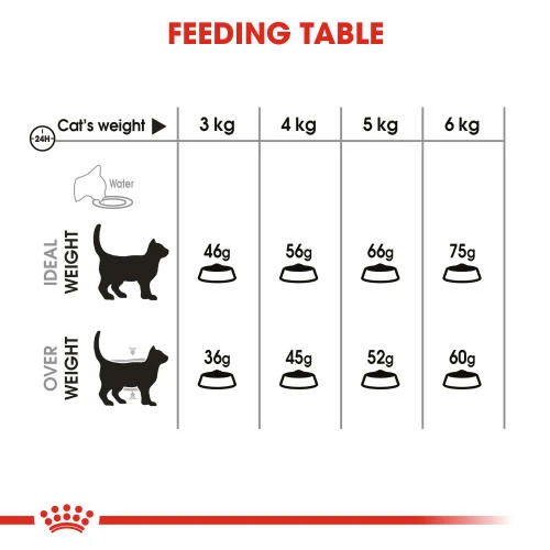 Royal Canin Oral Care Dry Adult Cat Food 7 Royal Canin Oral Care Dry Adult Cat Food - Image 5