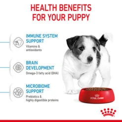 Royal Canin Mini Puppy Dry Dog Food 13 Royal Canin Mini Puppy Dry Dog Food -Pet Supply Store xquismlxdyt0fvatl6nf icqxro