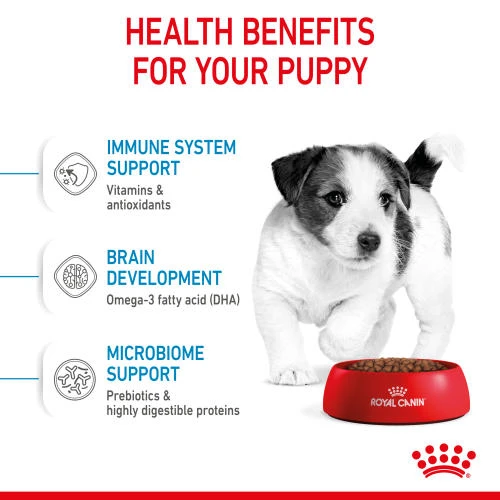 Royal Canin Mini Puppy Dry Dog Food 7 Royal Canin Mini Puppy Dry Dog Food - Image 5