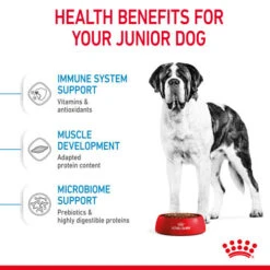 Royal Canin Giant Junior Puppy Dry Dog Food -Pet Supply Store xsxv3qsz3akj36m8nnyc hau2mt
