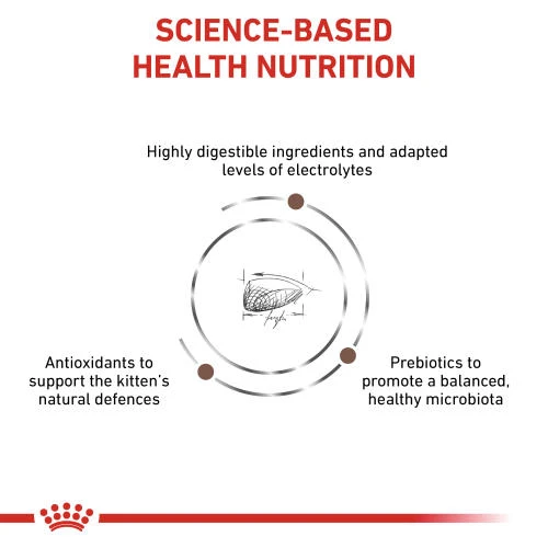 Royal Canin Veterinary Diets Gastrointestinal Kitten Dry Cat Food 4 Royal Canin Veterinary Diets Gastrointestinal Kitten Dry Cat Food - Image 2