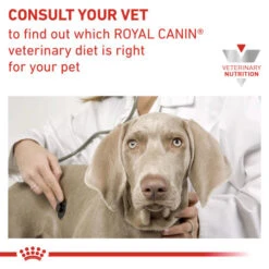 Royal Canin Veterinary Diets Feline & Canine Recovery Mousse Wet Food -Pet Supply Store yzttzfphr4labs8ai4v9 mb3kqx